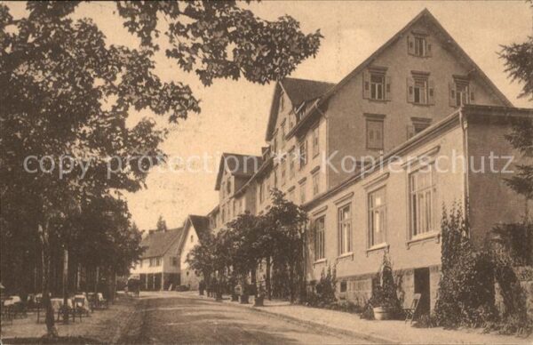 Ruhestein Kurhaus Gebr. Klumpp
