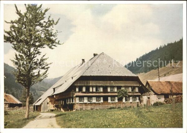 Menzenschwand altes Schwarzwaldhaus