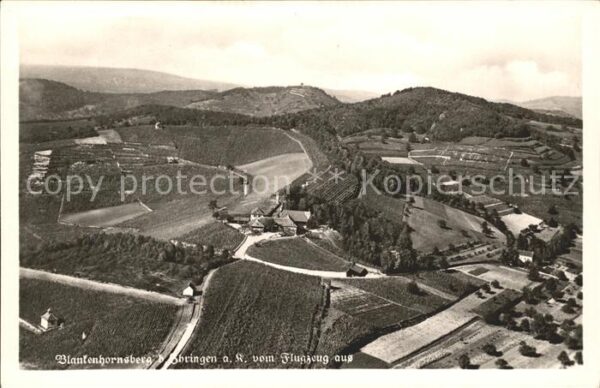 Ihringen Fliegeraufnahme Staatsweingut Blankenhornsberg Kaiserstuhl