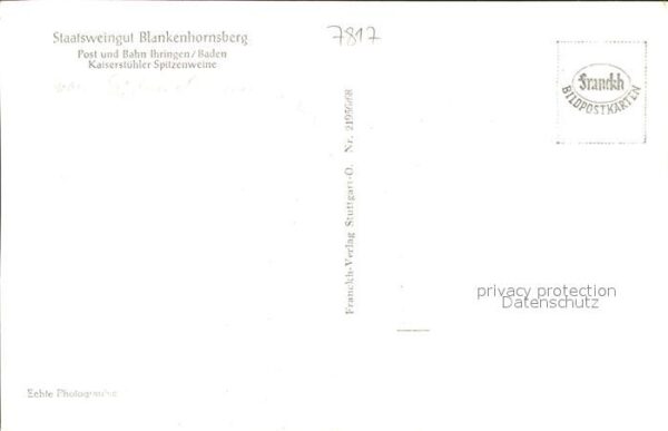 Ihringen Fliegeraufnahme Staatsweingut Blankenhornsberg Kaiserstuhl – Bild 2