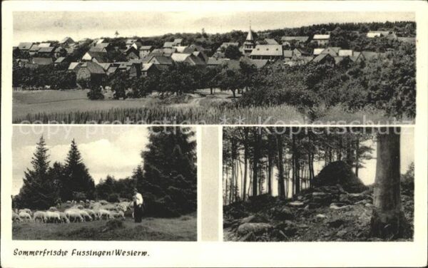 Fussingen