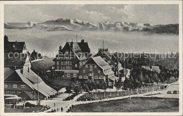 Feldberg Schwarzwald Hotel Feldbergerhot Alpen