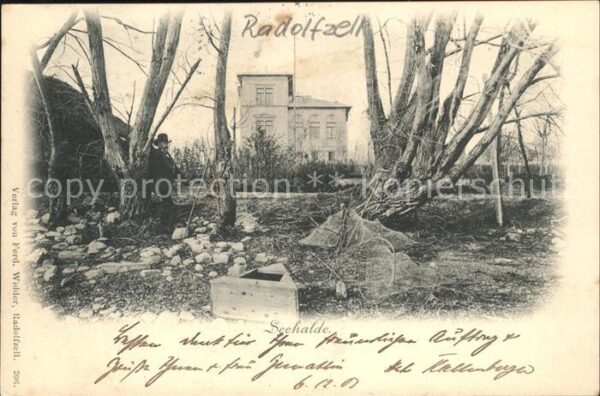 Radolfzell Bodensee Seehalde