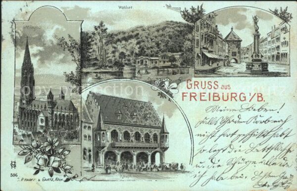 Freiburg Breisgau Waldsee Muenster Rathaus