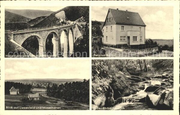 Liesenfeld Hunsrueck Pension Breder Hubertusbruecke Ehrbachklamm
