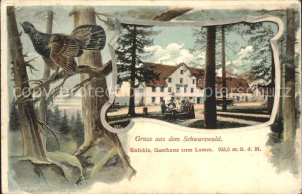 Kniebis Freudenstadt Gasthaus zum Lamm Auerhahn Litho