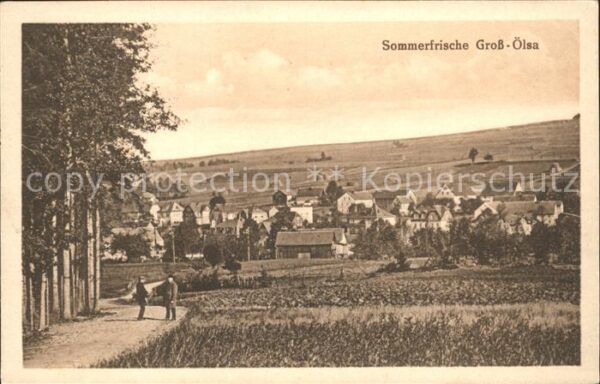 Gross Oelsa Ansicht vom Feldweg aus Sommerfrische