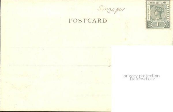 Singapore Maenner – Bild 2