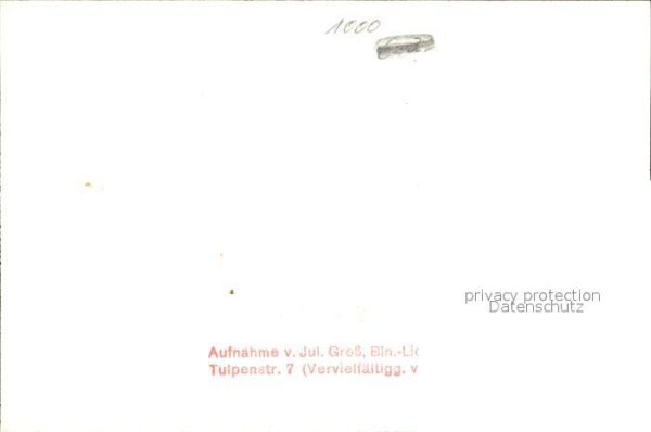 Berlin Reichstagung 1938 – Bild 2