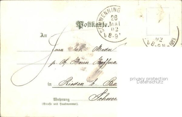 Schwenningen Neckar Groesste Tanne Deutschlands – Bild 2
