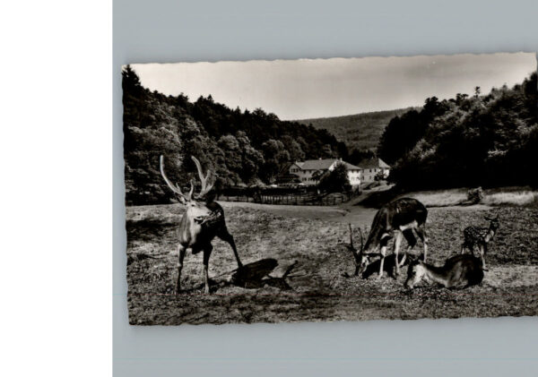 Marxzell Karsruhe BW Hotel Bergschmiede