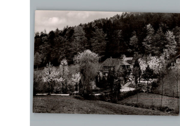 Waldprechtsweier Gaststaette Pension Standkeas Waldhaus