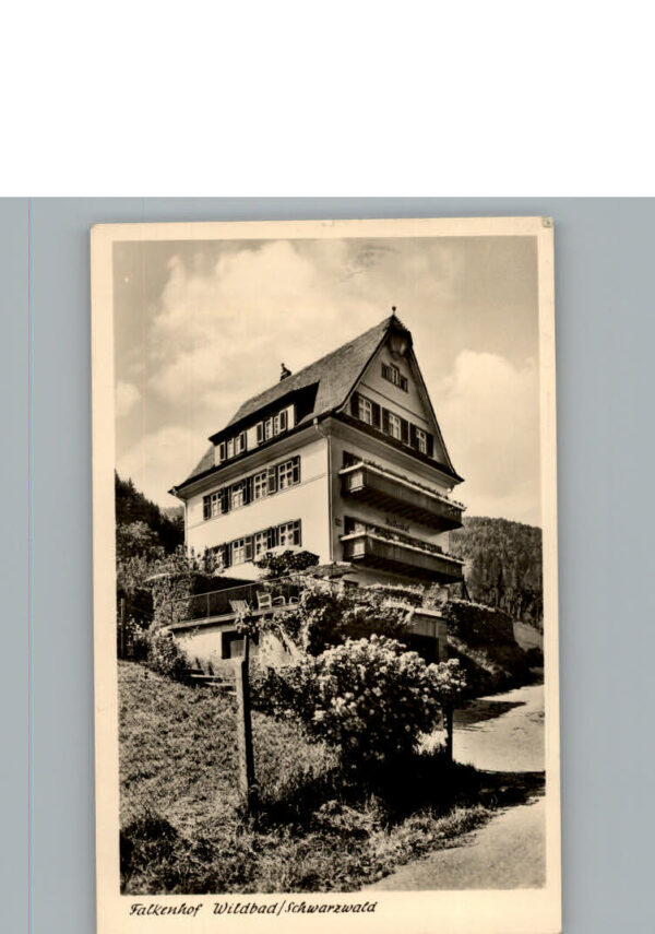 Bad Wildbad Falkenhof