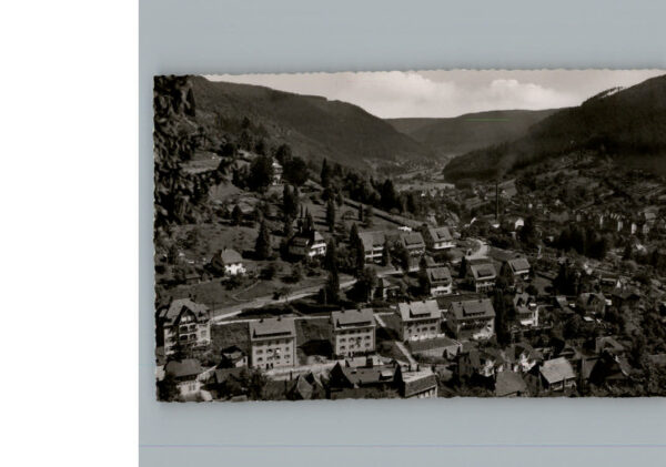 Bad Wildbad Fliegeraufnahme