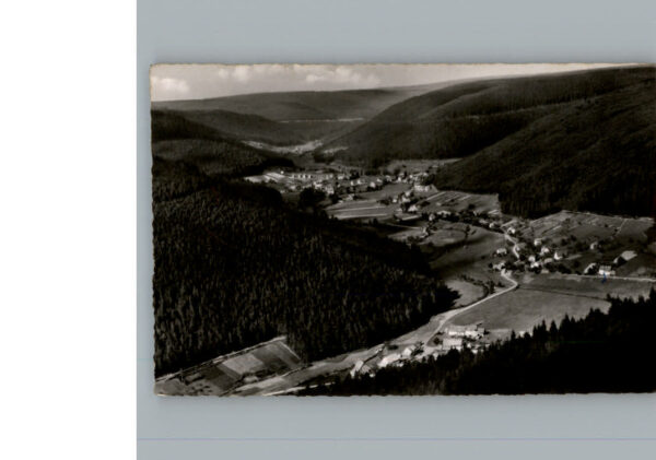 Enzkloesterle Fliegeraufnahme