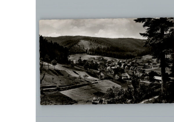 Enzkloesterle