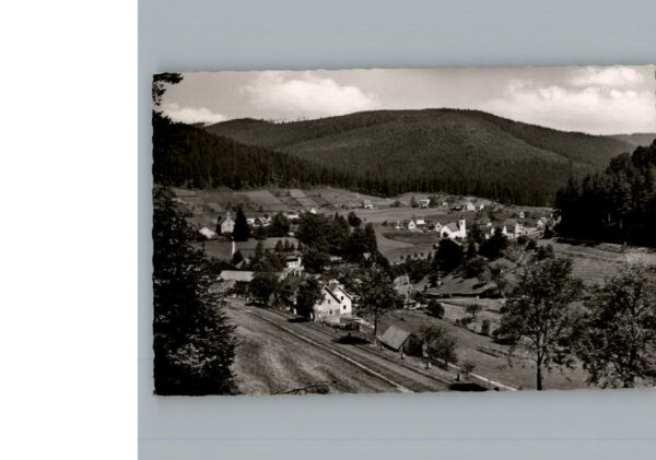 Enzkloesterle