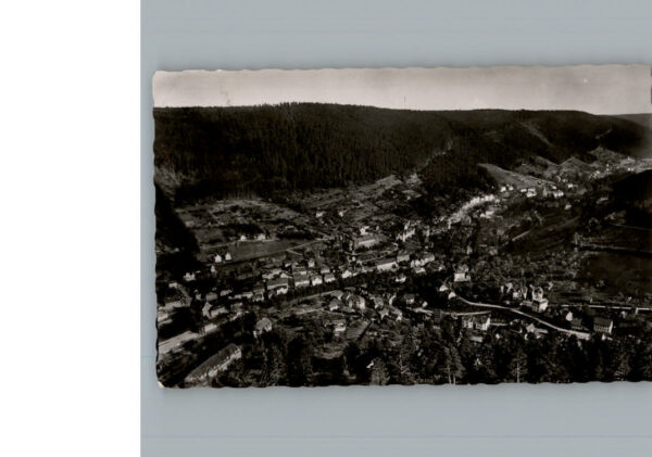 Bad Wildbad Fliegeraufnahme