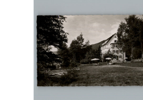 Enzkloesterle