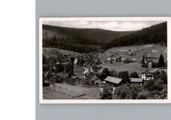 Enzkloesterle