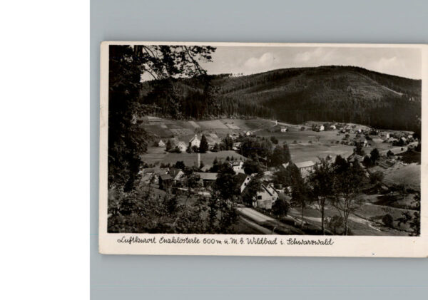 Enzkloesterle