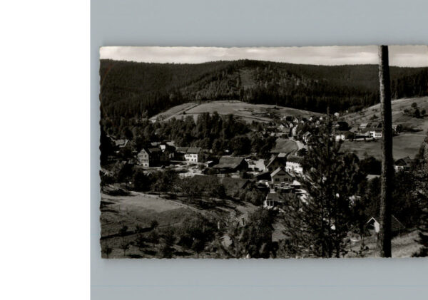 Enzkloesterle