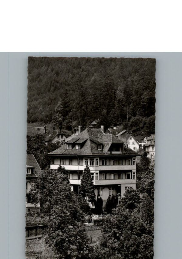 Bad Wildbad