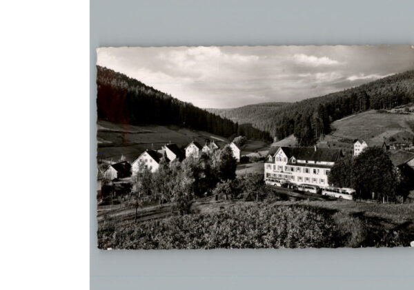 Enzkloesterle