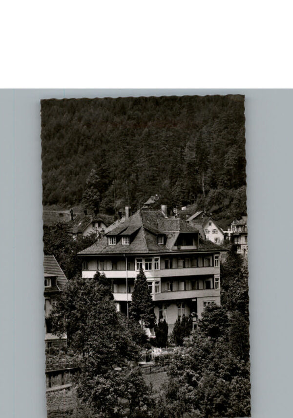 Bad Wildbad