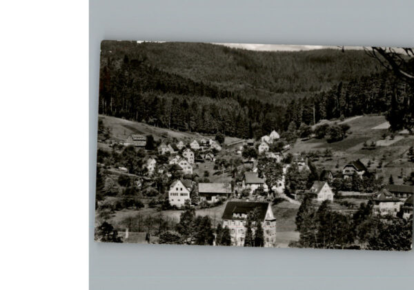 Enzkloesterle
