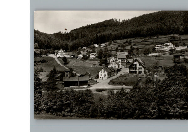 Enzkloesterle