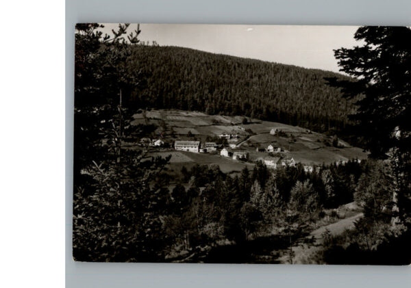 Enzkloesterle