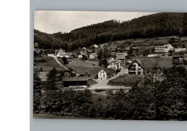 Enzkloesterle