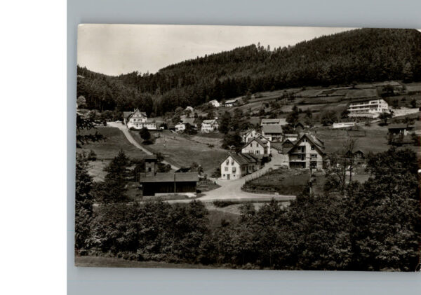Enzkloesterle