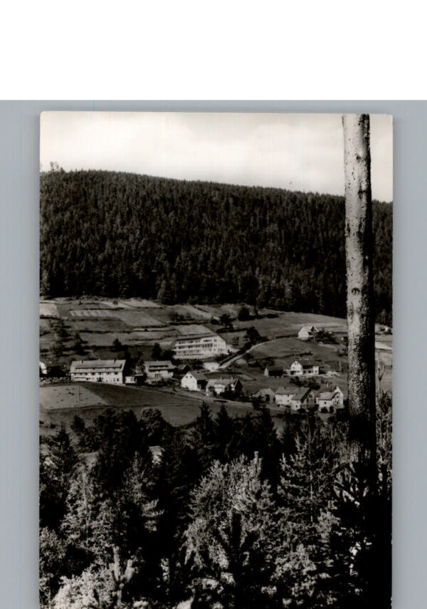 Enzkloesterle