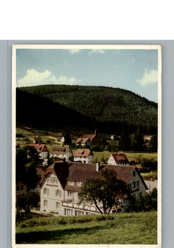 Enzkloesterle Gasthof Cafe, Pension Schwarzwaldhof