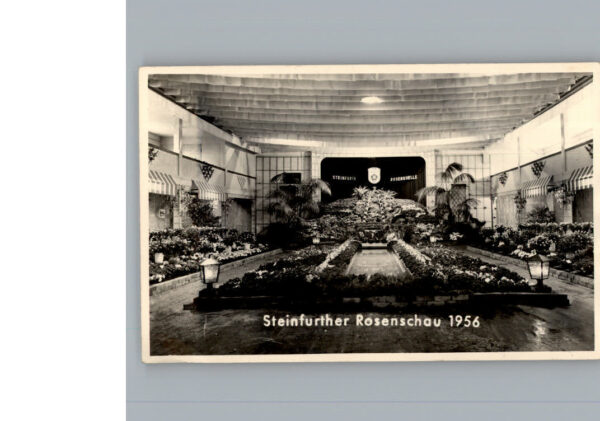 Steinfurth Bad Nauheim Rosenschau 1956