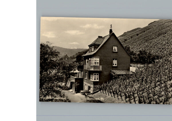 Bacharach Rhein Pension Hermesdorf