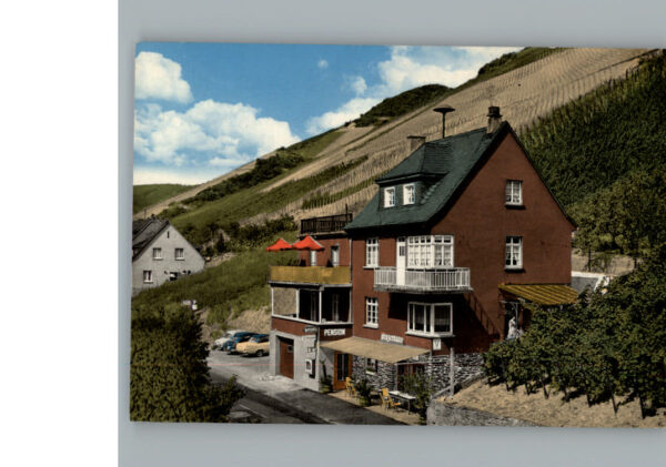 Bacharach Rhein Pension Winzerhaus