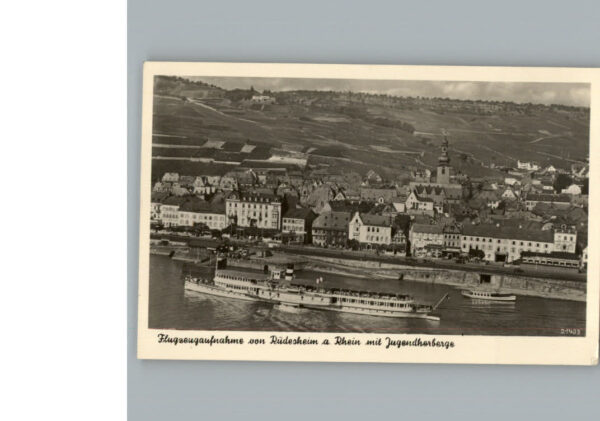 Ruedesheim am Rhein Fliegeraufnahme