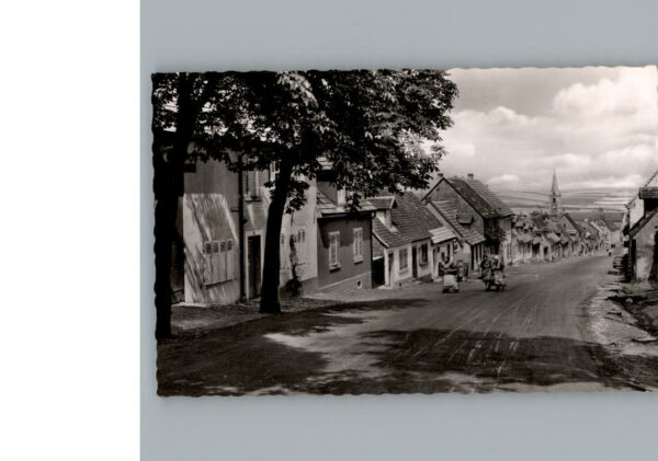 Kirchheimbolanden