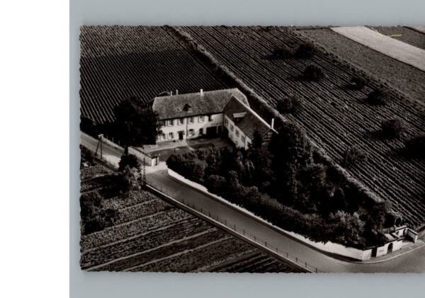 Waldesruh Pfalz