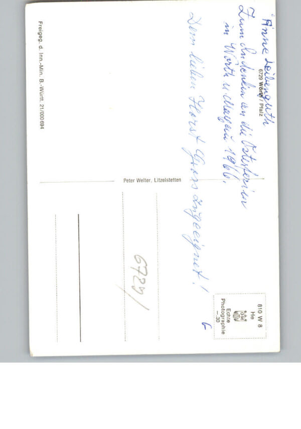 Woerth Rhein Fliegeraufnahme – Bild 2