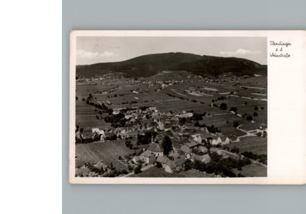 Flemlingen