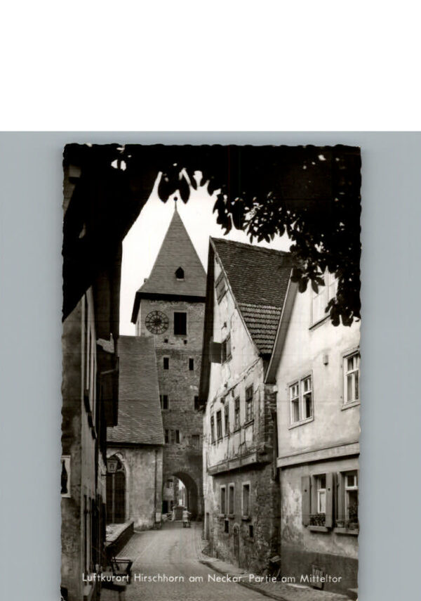 Hirschhorn Pfalz