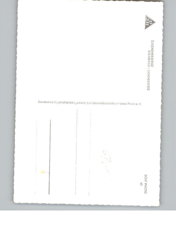 Steinbach Donnersberg – Bild 2