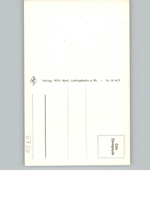 Speyer Rhein Fliegeraufnahme – Bild 2