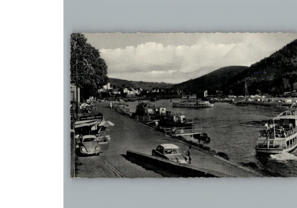Neckarsteinach