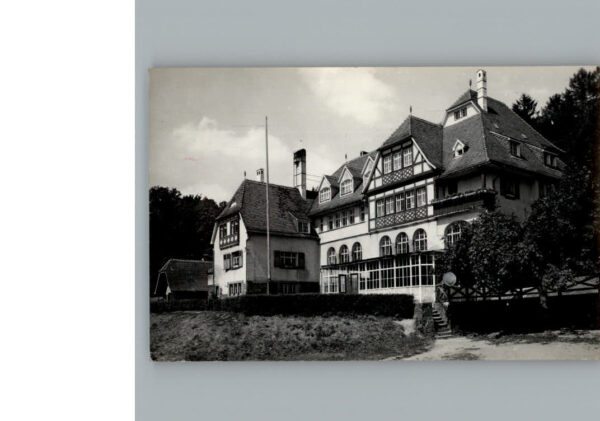 Neckarsteinach