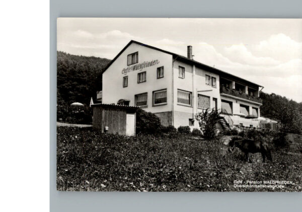 Ober-Schoenmattenwag Cafe - Pension Waldfrieden